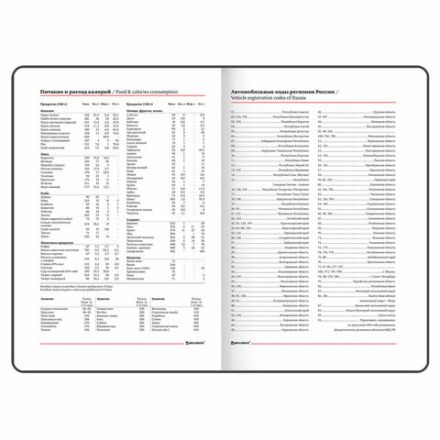 Еженедельник недатированный А5 145х215 мм, BRAUBERG "Party", под кожу, 64 л., антрацитовый, 114472