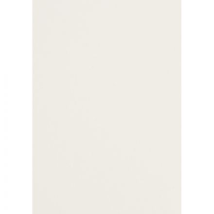 Картон белый Выбор есть Отличник 20л А4 мелован.пакет Картон белый Выбор есть Отличник 20л А4 мелован.пакет