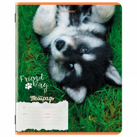 Тетрадь 18 л. BRAUBERG клетка, обложка картон, СОБАЧКИ, 107295