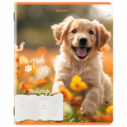 Тетрадь 18 л. BRAUBERG клетка, обложка картон, СОБАЧКИ, 107295