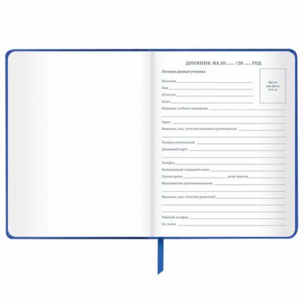 Дневник 1-11 класс 48 л., кожзам (твердая с поролоном), фольга, BRAUBERG HOLIDAY, "Веселый Кот", 106916