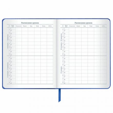 Дневник 1-11 класс 48 л., кожзам (твердая с поролоном), фольга, BRAUBERG HOLIDAY, "Веселый Кот", 106916