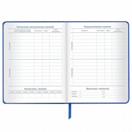 Дневник 1-11 класс 48 л., кожзам (твердая с поролоном), фольга, BRAUBERG HOLIDAY, "Веселый Кот", 106916