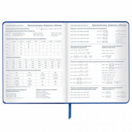 Дневник 1-11 класс 48 л., кожзам (твердая с поролоном), фольга, BRAUBERG HOLIDAY, "Веселый Кот", 106916