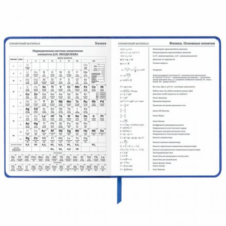 Дневник 1-11 класс 48 л., кожзам (твердая с поролоном), фольга, BRAUBERG HOLIDAY, "Веселый Кот", 106916