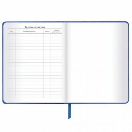 Дневник 1-11 класс 48 л., кожзам (твердая с поролоном), фольга, BRAUBERG HOLIDAY, "Веселый Кот", 106916