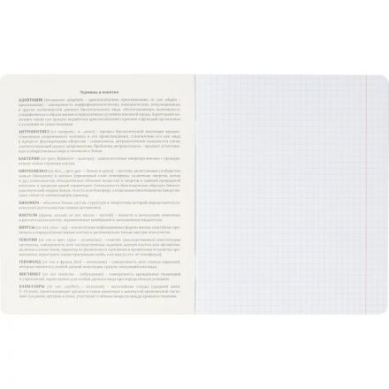Тетрадь предметная  Комус Класс Искусство, 48 л., А5, клетка, БИОЛОГИЯ