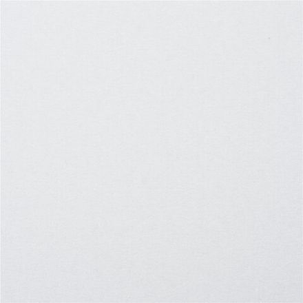 Картон белый А4 МЕЛОВАННЫЙ (белый оборот), 25 листов, BRAUBERG, 210х297 мм, 124021