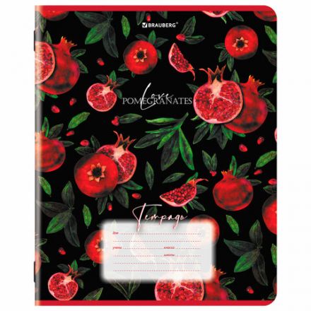 Тетрадь 18 л. BRAUBERG, клетка, обложка картон, ГРАНАТ, 107296