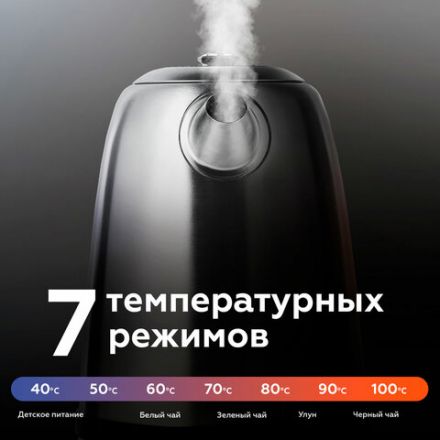 Чайник BQ (БИ-КЬЮ) KT1724SW, 1,7 л, 2200 Вт, закрытый нагревательный элемент, ТЕРМОРЕГУЛЯТОР, стальной, 86189269