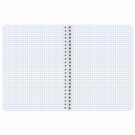 Тетрадь А5 80 л. BRAUBERG, гребень, клетка, глянцевая ламинация, "Довольные Коты" (микс в спайке), 404417