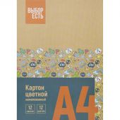 Картон цветной Выбор Есть 12л 12цв А4 немелован папка