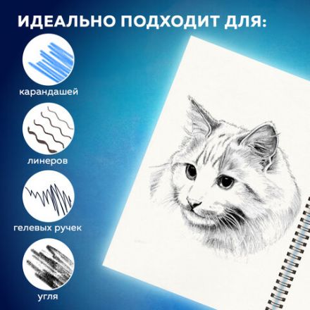 Скетчбук, белая бумага 160 г/м2, 145х203 мм, 64 л., резинка, твердый, BRAUBERG ART CLASSIC "Ван Гог", 114590