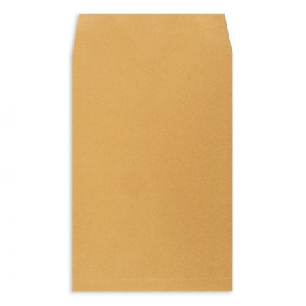 Пакет в упаковке Крафт С4стрип Extrapack 229х324 100г 250шт/уп/6541 Пакет в упаковке Крафт С4стрип Extrapack 229х324 100г 250шт/уп/6541