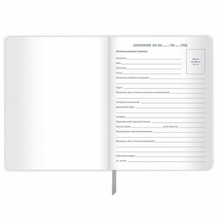 Дневник 1-11 класс 48 л., кожзам (гибкая), печать, фольга, BRAUBERG, "Что за тигр этот волк!", 106917