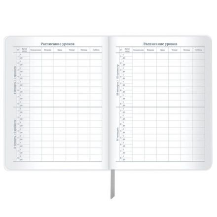 Дневник 1-11 класс 48 л., кожзам (гибкая), печать, фольга, BRAUBERG, "Что за тигр этот волк!", 106917