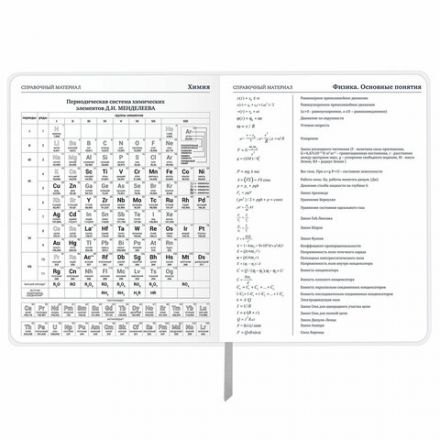 Дневник 1-11 класс 48 л., кожзам (гибкая), печать, фольга, BRAUBERG, "Что за тигр этот волк!", 106917