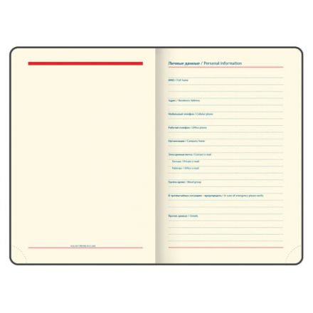 Ежедневник недатированный А5 (148х218 мм) GALANT "Magnetic", кожзам, магнитный клапан, 160 л., черный, 126272 Ежедневник недатированный А5 (148х218 мм) GALANT "Magnetic", кожзам, магнитный клапан, 160 л., черный, 126272