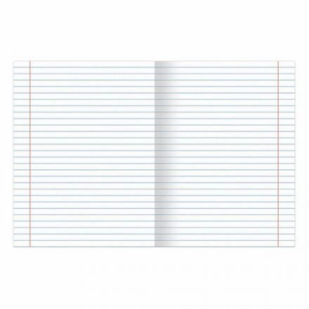 Тетрадь предметная "КЛАССИКА NATURE" 48 л., обложка картон, ЛИТЕРАТУРА, линия, BRAUBERG, 404588