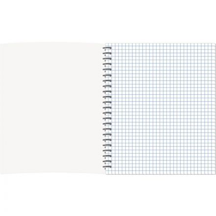 Бизнес-тетрадь Принты А5 96л, клетка, обл. мел. картон, спираль,Птицы Бизнес-тетрадь Принты А5 96л, клетка, обл. мел. картон, спираль,Птицы