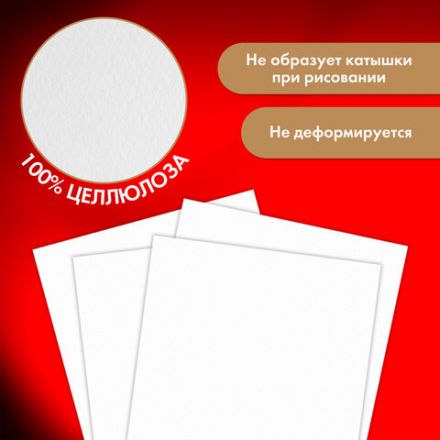 Бумага для акварели 300 г/м2 560x760 мм мелкое зерно, 10 листов, BRAUBERG ART PREMIERE, 113237 Бумага для акварели 300 г/м2 560x760 мм мелкое зерно, 10 листов, BRAUBERG ART PREMIERE, 113237