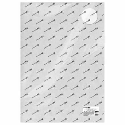 Бумага для акварели 300 г/м2 560x760 мм мелкое зерно, 10 листов, BRAUBERG ART PREMIERE, 113237 Бумага для акварели 300 г/м2 560x760 мм мелкое зерно, 10 листов, BRAUBERG ART PREMIERE, 113237