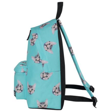 Рюкзак BRAUBERG СИТИ-ФОРМАТ универсальный, "Cats", голубой, 41х32х14 см, 229881 Рюкзак BRAUBERG СИТИ-ФОРМАТ универсальный, "Cats", голубой, 41х32х14 см, 229881