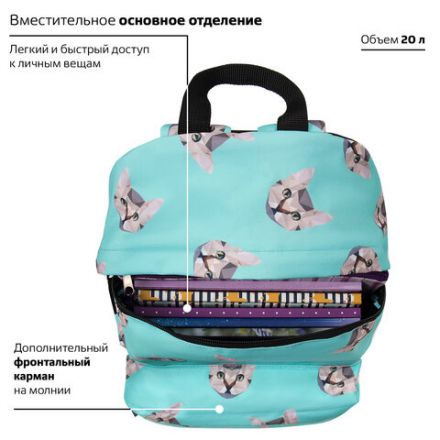 Рюкзак BRAUBERG СИТИ-ФОРМАТ универсальный, "Cats", голубой, 41х32х14 см, 229881 Рюкзак BRAUBERG СИТИ-ФОРМАТ универсальный, "Cats", голубой, 41х32х14 см, 229881