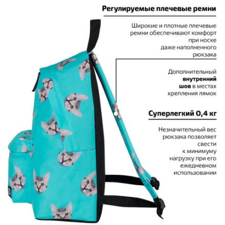 Рюкзак BRAUBERG СИТИ-ФОРМАТ универсальный, "Cats", голубой, 41х32х14 см, 229881 Рюкзак BRAUBERG СИТИ-ФОРМАТ универсальный, "Cats", голубой, 41х32х14 см, 229881