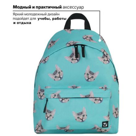Рюкзак BRAUBERG СИТИ-ФОРМАТ универсальный, "Cats", голубой, 41х32х14 см, 229881 Рюкзак BRAUBERG СИТИ-ФОРМАТ универсальный, "Cats", голубой, 41х32х14 см, 229881