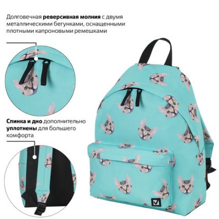 Рюкзак BRAUBERG СИТИ-ФОРМАТ универсальный, "Cats", голубой, 41х32х14 см, 229881 Рюкзак BRAUBERG СИТИ-ФОРМАТ универсальный, "Cats", голубой, 41х32х14 см, 229881