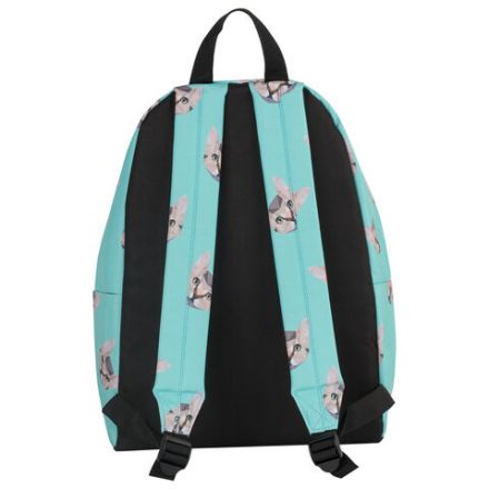 Рюкзак BRAUBERG СИТИ-ФОРМАТ универсальный, "Cats", голубой, 41х32х14 см, 229881 Рюкзак BRAUBERG СИТИ-ФОРМАТ универсальный, "Cats", голубой, 41х32х14 см, 229881