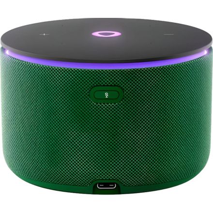 Умная колонка Яндекс Станция Мини 3 Про, Zigbee, зеленый (YNDX-00059GRN)