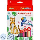 Карандаши цветные 36 цв 6-гран №1School ColorPics в наборе