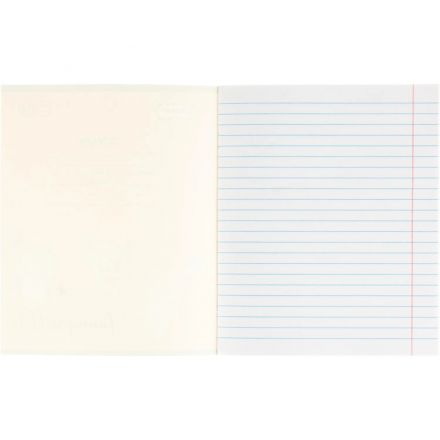 Тетрадь школьная А5 12л линия Комус Класс Кролик в ассортименте 4 дизайна