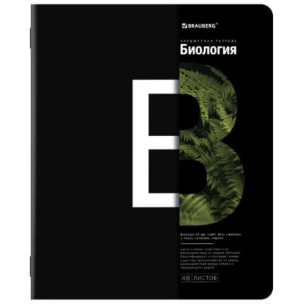 Тетради предметные, КОМПЛЕКТ 12 ПРЕДМЕТОВ, 48 л., матовая ламинация, BRAUBERG, "INTELLIGENCE", 404845