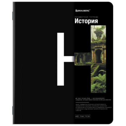 Тетради предметные, КОМПЛЕКТ 12 ПРЕДМЕТОВ, 48 л., матовая ламинация, BRAUBERG, "INTELLIGENCE", 404845