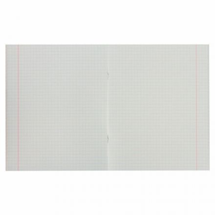 Тетрадь А5, 48 л., HATBER-ECO скоба, офсет №2 ЭКОНОМ, клетка, обложка мелованная бумага, "Зеленая", 075743, 48Т5D1_27731