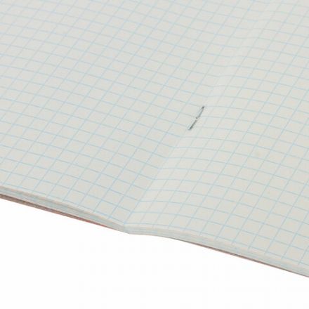 Тетрадь А5, 48 л., HATBER-ECO скоба, офсет №2 ЭКОНОМ, клетка, обложка мелованная бумага, "Зеленая", 075743, 48Т5D1_27731