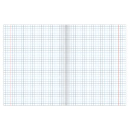 Тетрадь А5, 48 л., BRAUBERG скоба, клетка, обложка картон, "INDAY", 400518