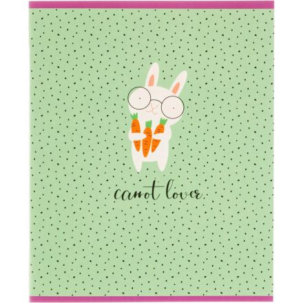 Тетрадь общая А5 48л с полями, клетка, микс в ассортименте, 40шт/уп