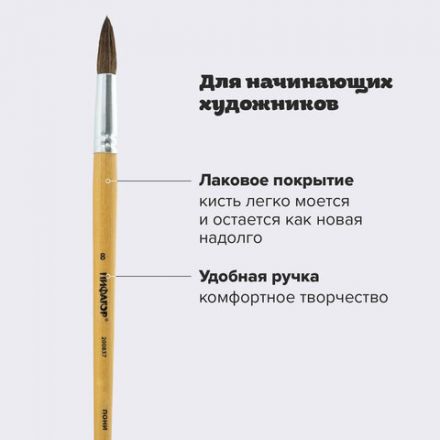 Кисть ПИФАГОР, ПОНИ, круглая, № 8, деревянная лакированная ручка, колпачок, пакет с подвесом, 200837