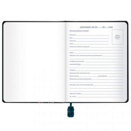 Дневник 1-11 класс 48 л., кожзам (твердая с поролоном), печать, ляссе с аппликацией, BRAUBERG, "Boy", 106959