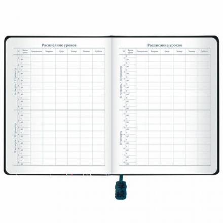 Дневник 1-11 класс 48 л., кожзам (твердая с поролоном), печать, ляссе с аппликацией, BRAUBERG, "Boy", 106959