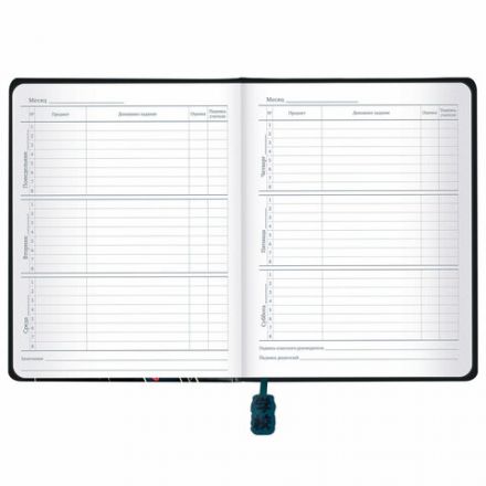 Дневник 1-11 класс 48 л., кожзам (твердая с поролоном), печать, ляссе с аппликацией, BRAUBERG, "Boy", 106959