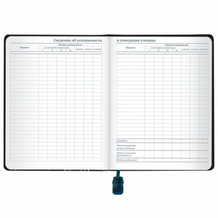 Дневник 1-11 класс 48 л., кожзам (твердая с поролоном), печать, ляссе с аппликацией, BRAUBERG, "Boy", 106959