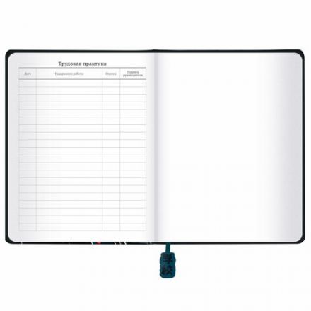 Дневник 1-11 класс 48 л., кожзам (твердая с поролоном), печать, ляссе с аппликацией, BRAUBERG, "Boy", 106959