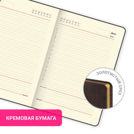 Ежедневник недатированный БОЛЬШОЙ ФОРМАТ (175х247 мм) В5, BRAUBERG "Alligator", под матовую крокод. кожу, 160л, крем.блок, т-корич, 124969