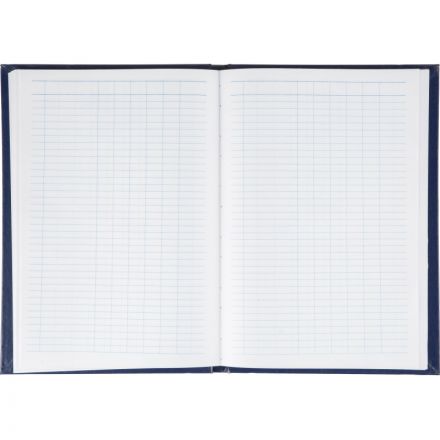 Книга учета бухгалтерская офсет А4 144 листов пустографка на сшивке (обложка - бумвинил) Книга учета бухгалтерская офсет А4 144 листов пустографка на сшивке (обложка - бумвинил)