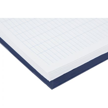 Книга учета бухгалтерская офсет А4 144 листов пустографка на сшивке (обложка - бумвинил) Книга учета бухгалтерская офсет А4 144 листов пустографка на сшивке (обложка - бумвинил)